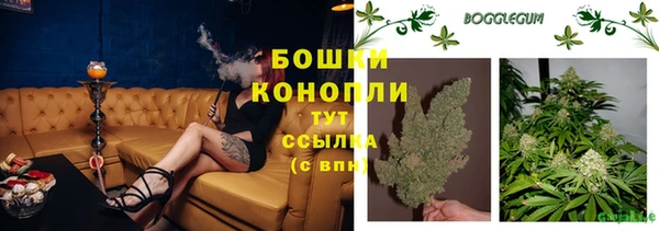 МДПВ Верхний Тагил
